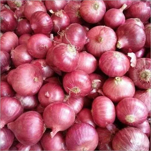 Fresh Small Onion